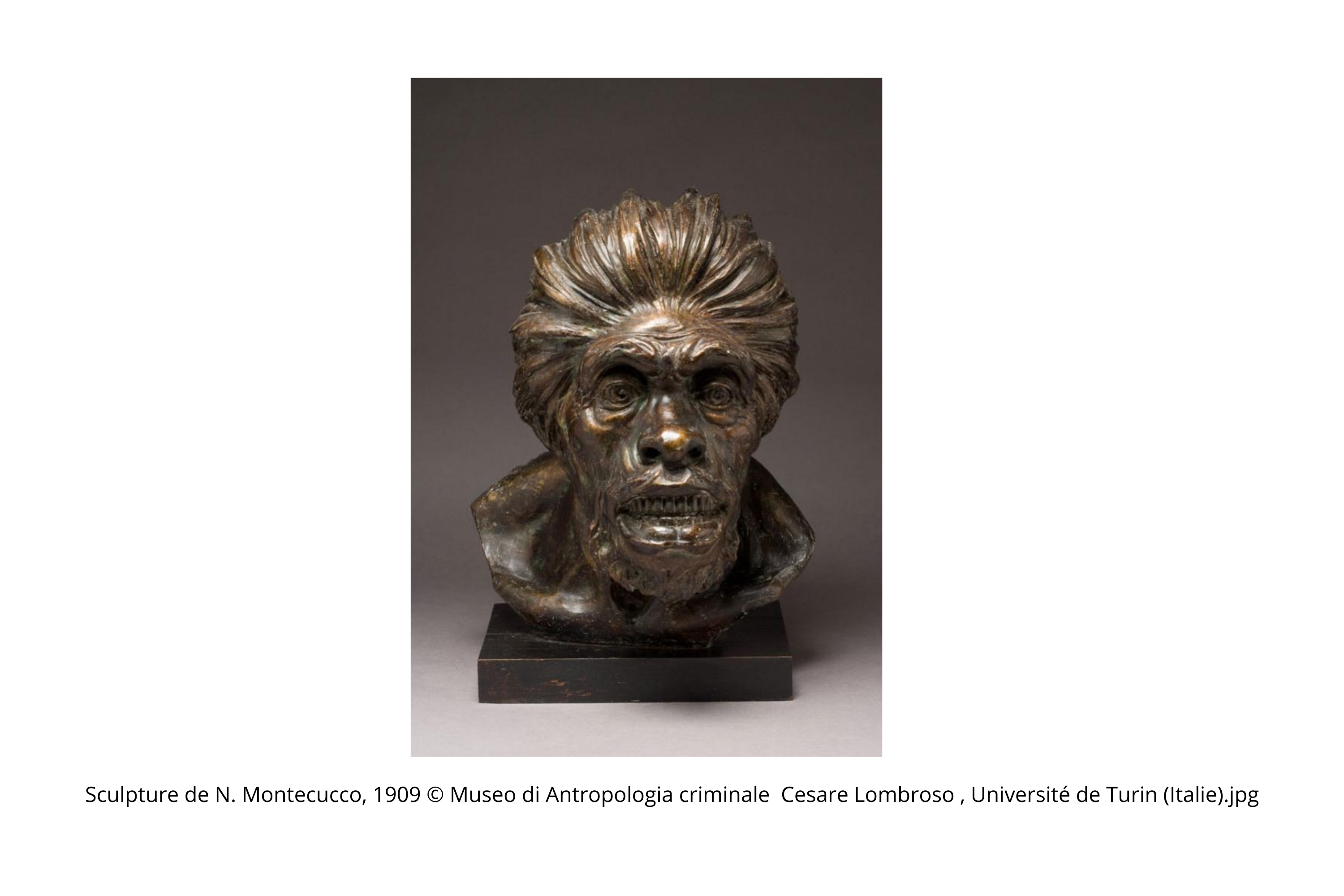 Sculpture de N. Montecucco, 1909 © Museo di Antropologia criminale Cesare...