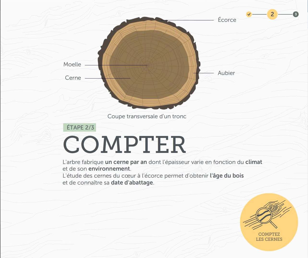 Faire parler le bois