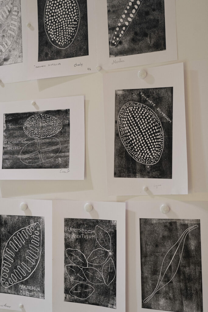 Chronographe 102021©lucileviaud 101