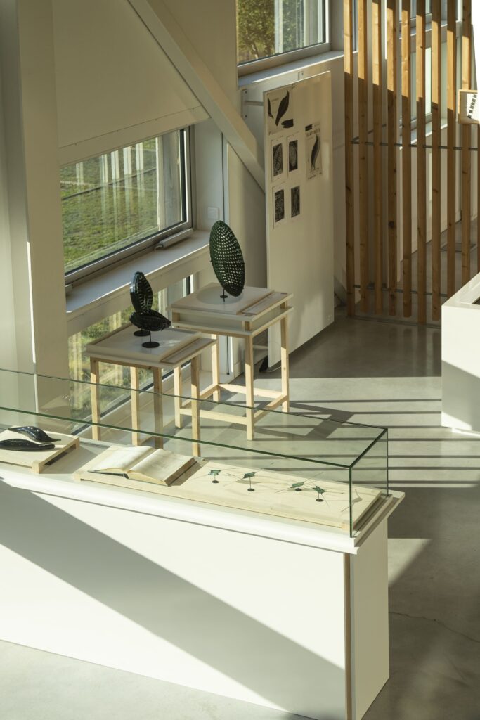 Chronographe 102021©lucileviaud 49